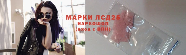 сатива Аркадак